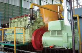 Biomass gas generator set