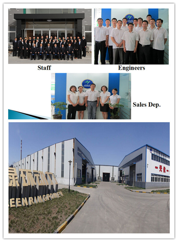 About Shandong Lvhuan Power Equipment Co., Ltd.