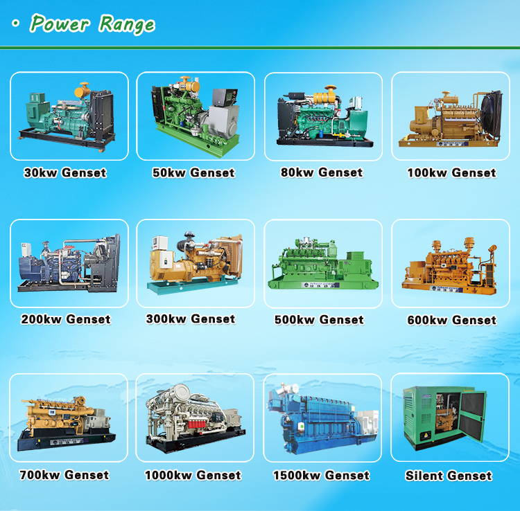 30kw natural gas generator