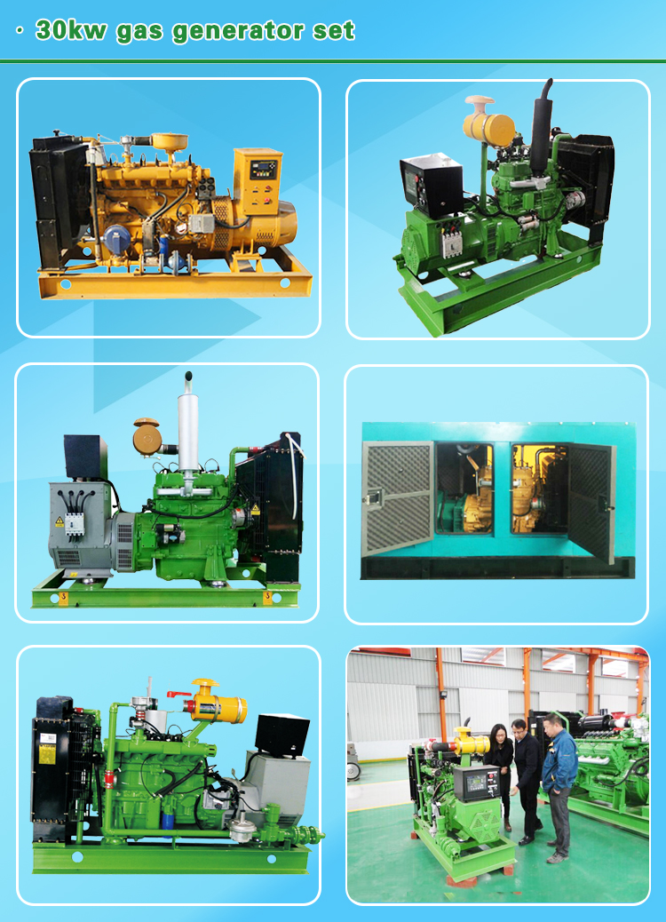 30kw natural gas generator