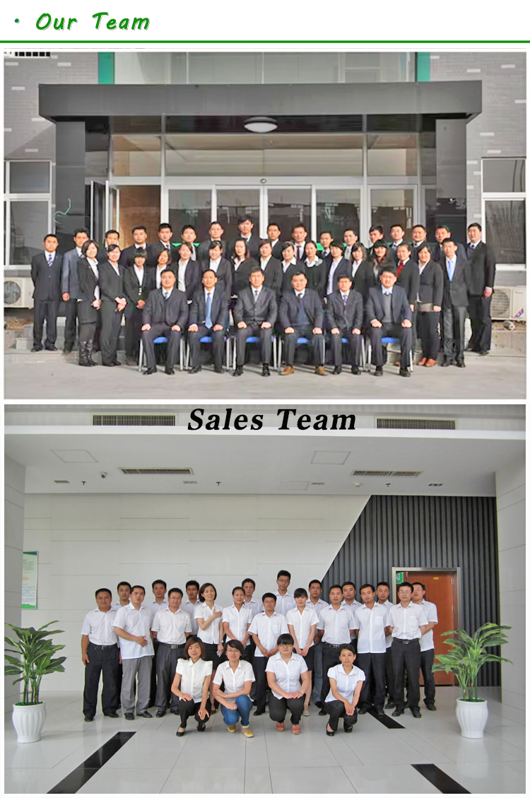 30kw natural gas generator