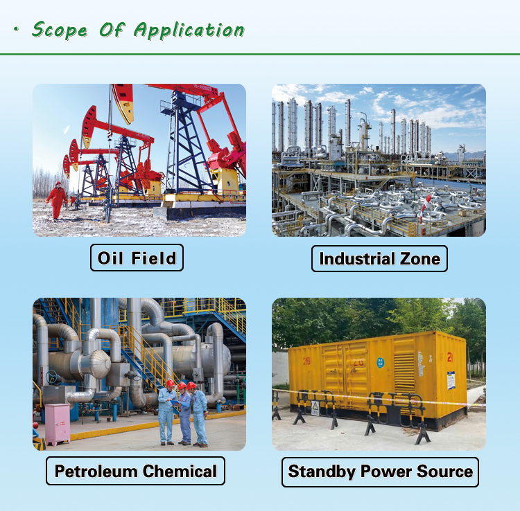 30kw natural gas generator