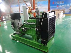 30kw natural gas generator