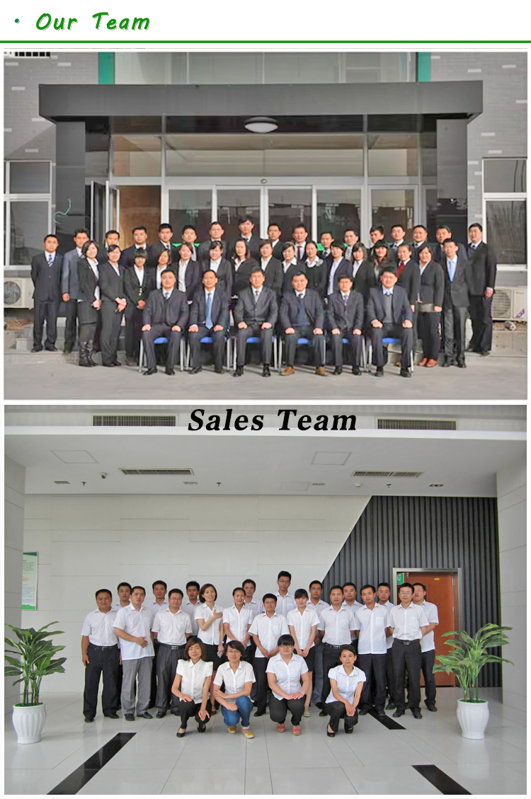 1MW Biogas Generator Set Sent to Vietnam